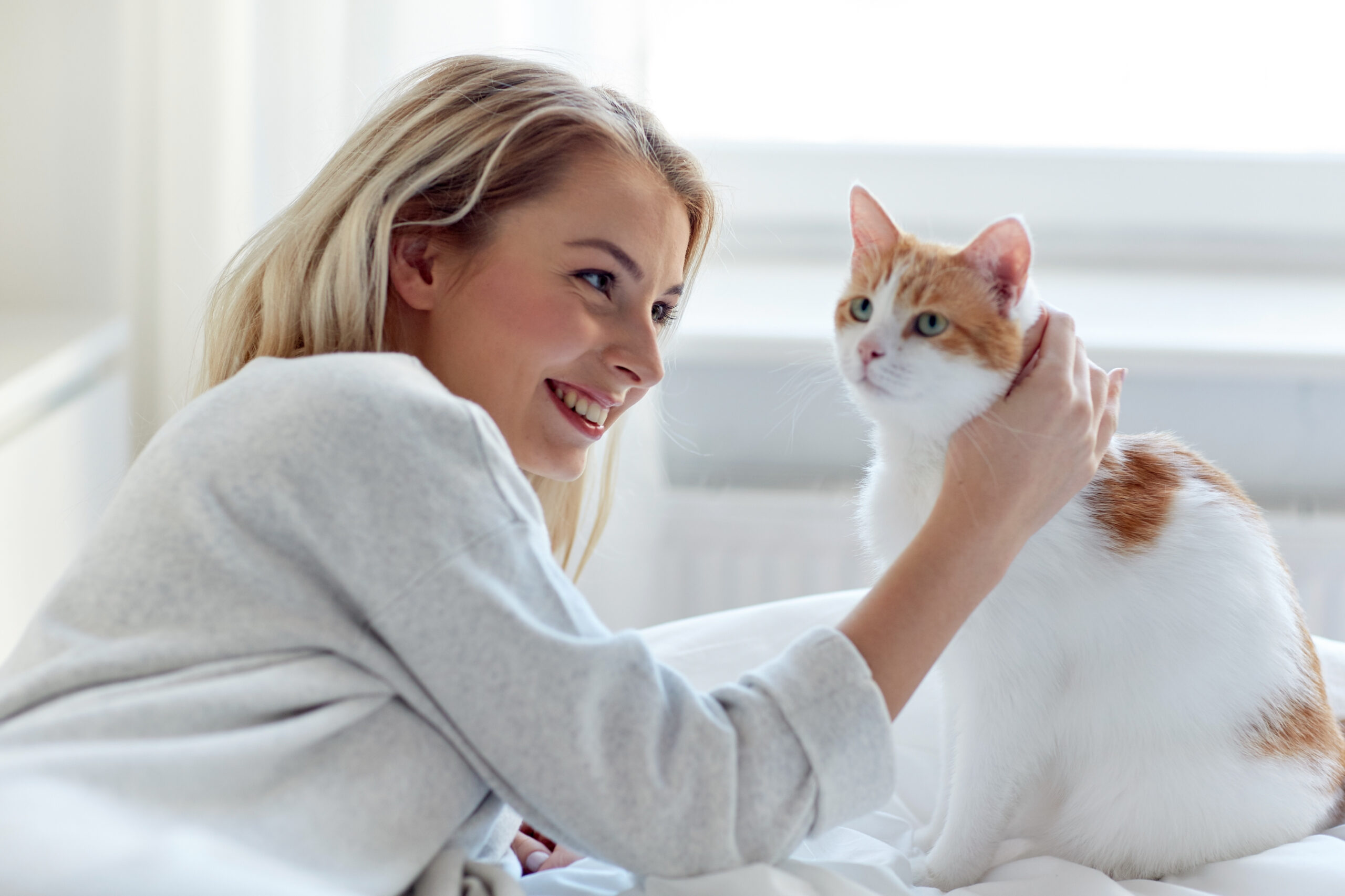 He Went Out On A Date With a Girl Who Lost A Cat She Was Catsitting For ...