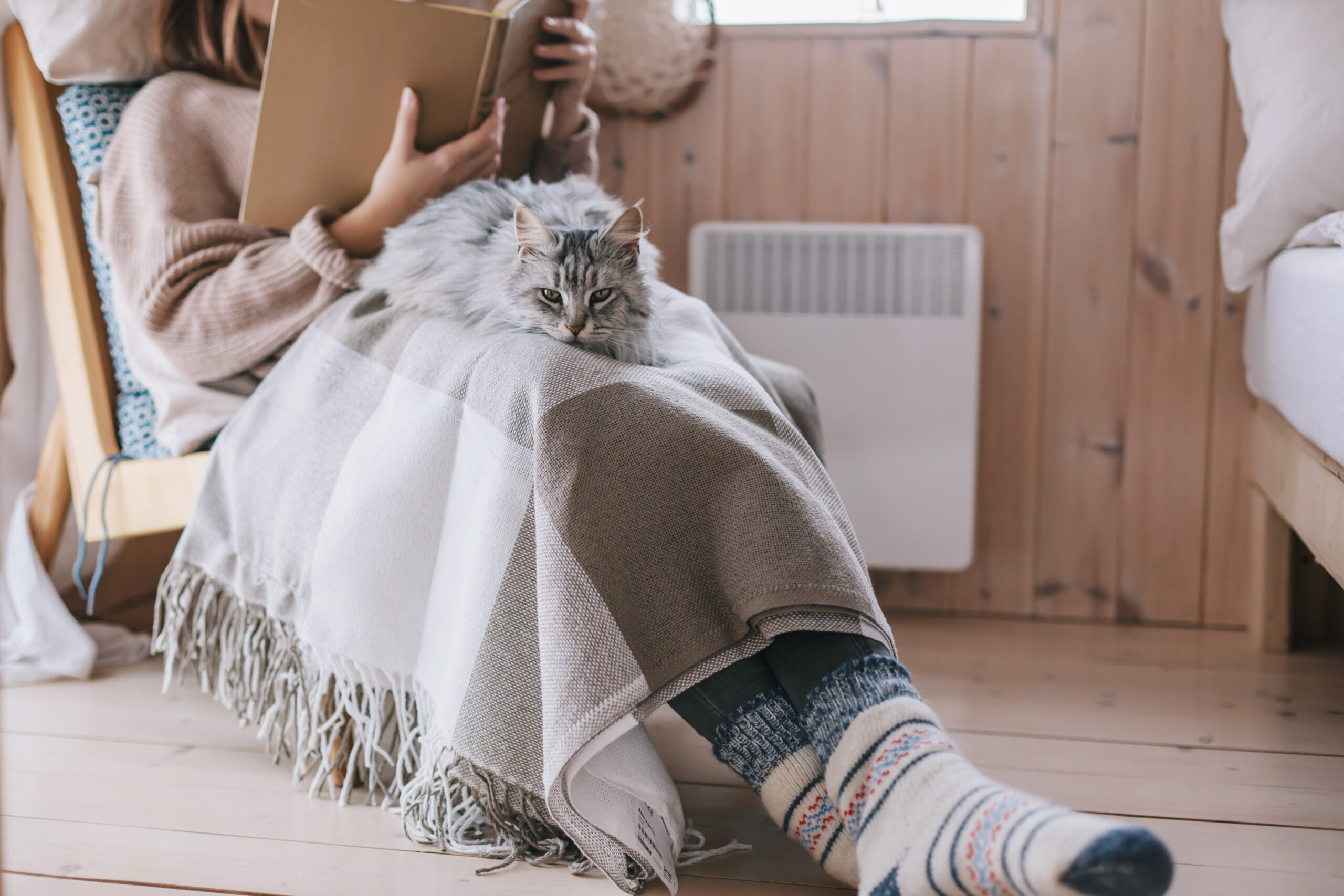 She Wants Her Roommate To Get Rid of Her Cat After He Badly Scratched Her In The Face