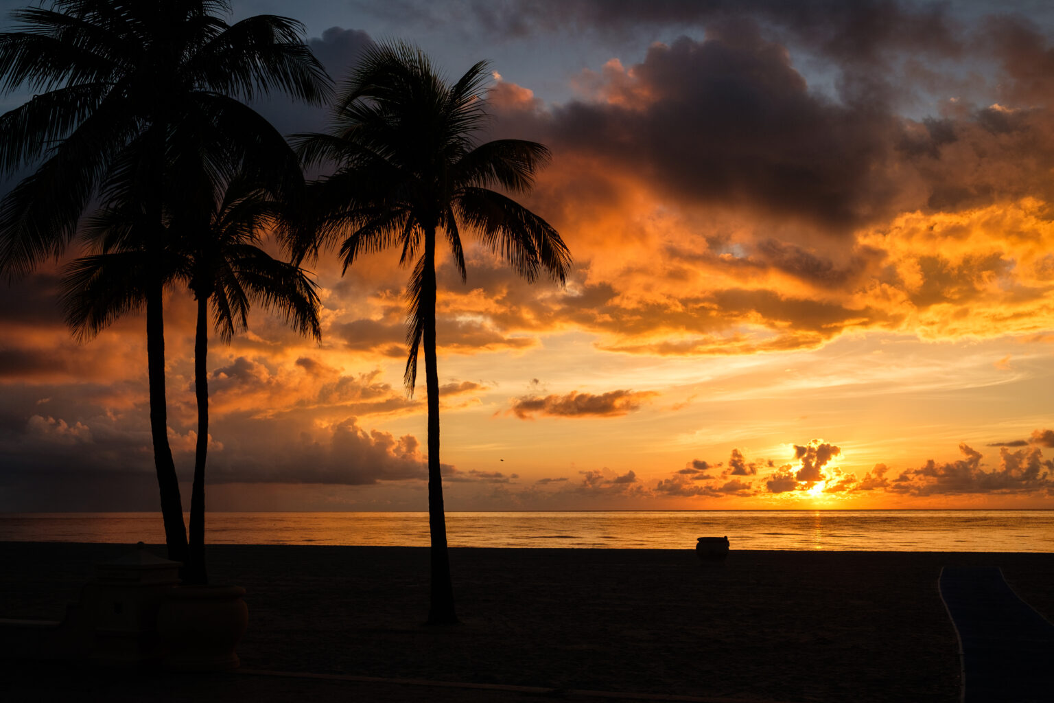 Coral Cut Is A Spooky Stretch Of Road In Palm Beach, Florida, That Is ...