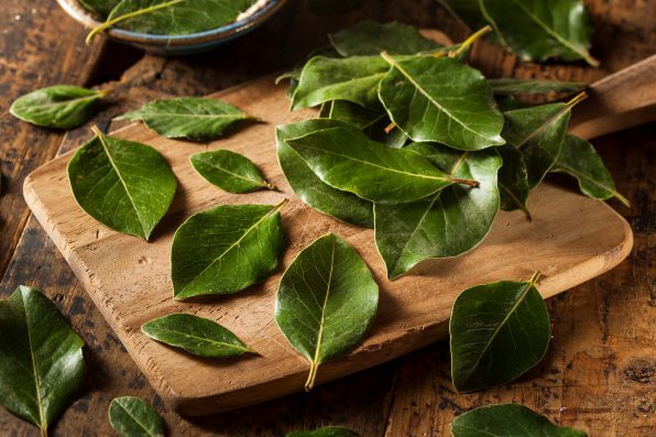 Green Organic Bay Leaves Ready to Use