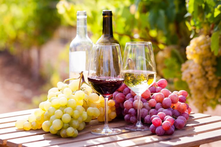 ancient roman wine and grapes