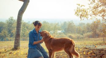 By Petting Your Dog And Gazing Into Their Eyes, You Can Synchronize Your Brain Activity With Theirs, Scientists Say