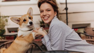 Nice woman and her dog look into camera. Cheerful lady in grey jacket smiles and plays with charming corgi in street cafe