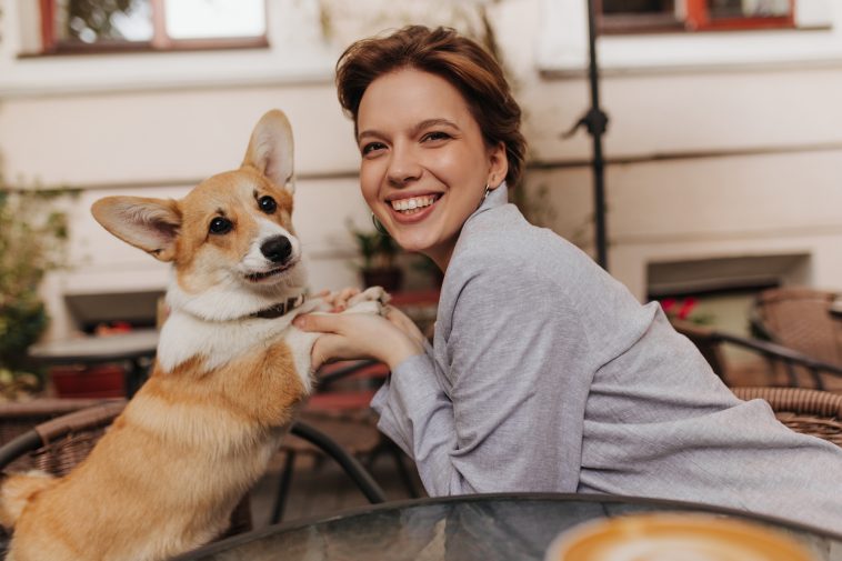 Nice woman and her dog look into camera. Cheerful lady in grey jacket smiles and plays with charming corgi in street cafe