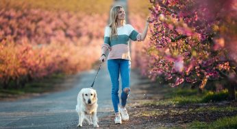 Her Sister Begged Her To Babysit, But She Said No Since Her Dog Wasn’t Allowed To Come