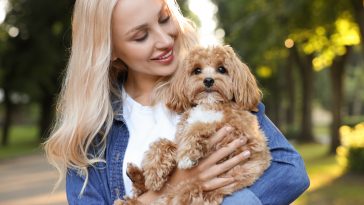 Beautiful young woman with cute dog in park