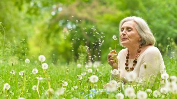 Portrait of a beautiful senior woman in green field with dandelions