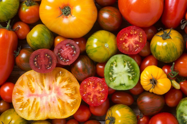 Close up of colorful tomatoes, some sliced, shot from above