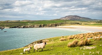 An Irish Farmer Dug Up A Giant Chunk Of Ancient Butter That Seems To Be From The Bronze Age