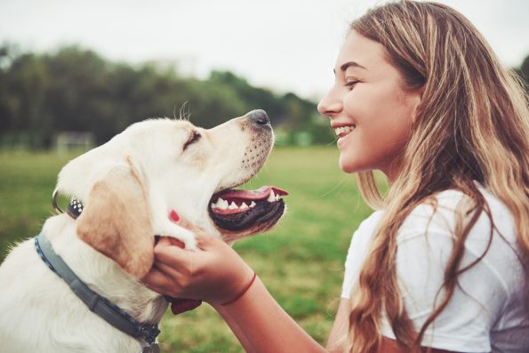 Frame with a beautiful girl with a beautiful dog in a park on green grass