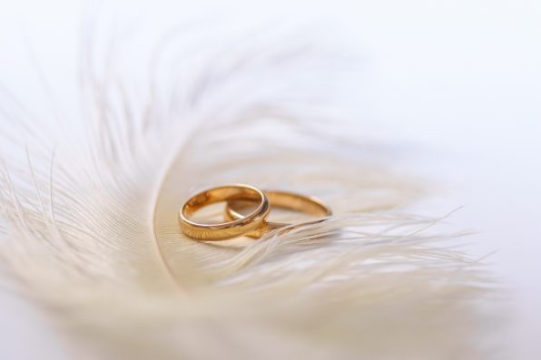 Wedding delicate background with rings and feather on the white background. Tenderness, tender love concept.