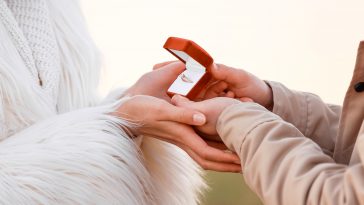 Young couple with engagement ring in box outdoors, closeup