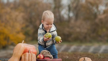 Handsome blonde toddler and pumpkin harvest in orchard. The child eats apples in nature.