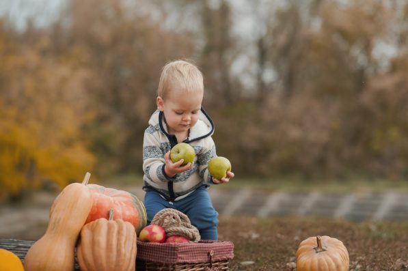 Handsome blonde toddler and pumpkin harvest in orchard. The child eats apples in nature.