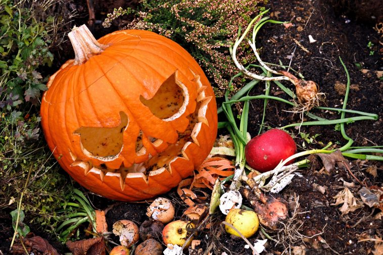 Don’t Waste Your Halloween Pumpkins Here’s How To Compost Them For