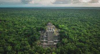 Archaeologists Have Uncovered A Lost Maya City In Mexico After Analyzing Old Surveys Of Forests