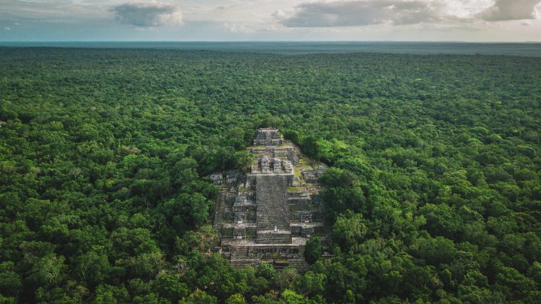 Aerial view of the pyramid, Calakmul, Campeche, Mexico. Ruins of the ancient Mayan city of Calakmul surrounded by the jungle