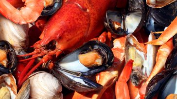 Shellfish plate of crustacean seafood as fresh lobster steamed clams mussels shrimp and crab as an ocean gourmet dinner background.