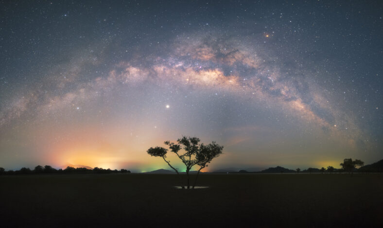 Beautiful panorama milky way over alone mangrove on sand beach in low tide day in Thailand