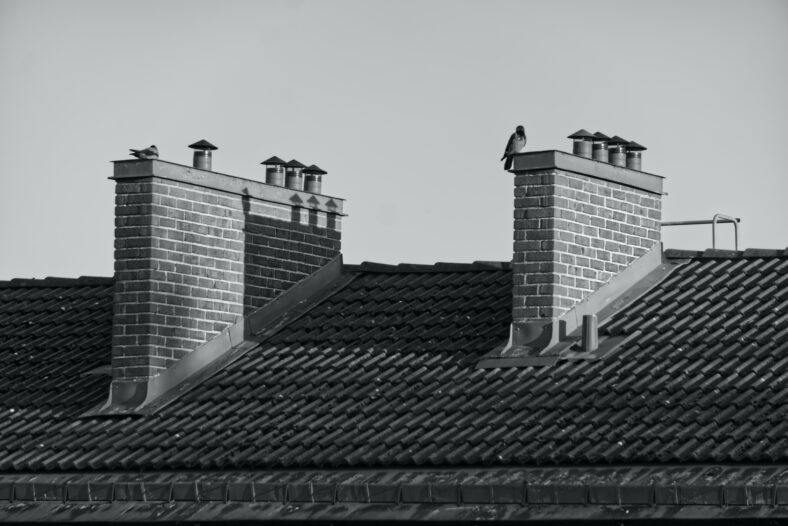 birds on chimney