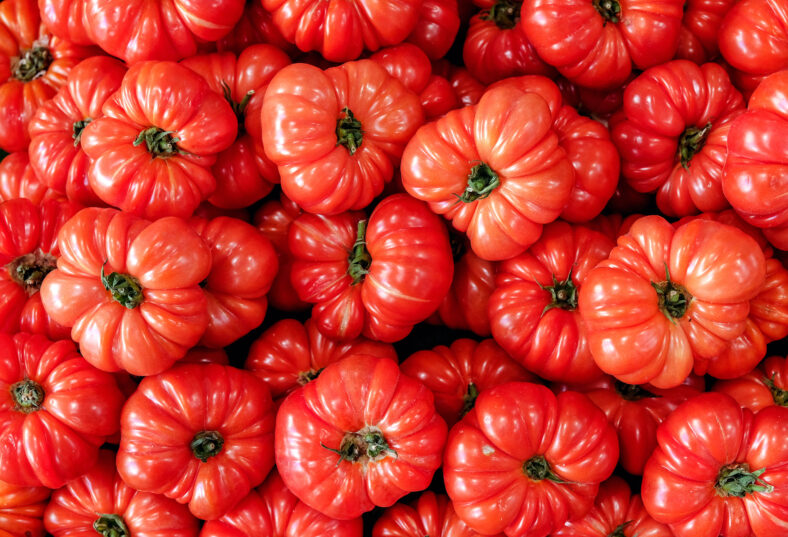 red tomatoes background Group of ribbed heirloom tomato on a market top view