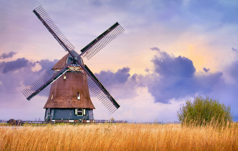 Volendam, Netherlands. Traditional Holland landscape with typical dutch windmill and yellow grass field, evening sunset sky in countryside.