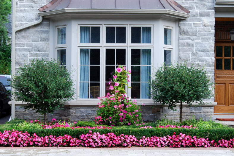 Bay window with row of pink flowers