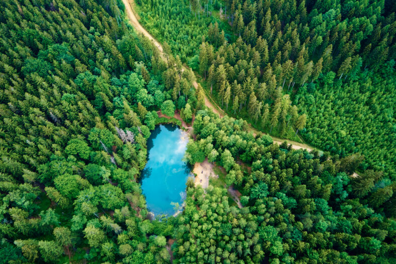 Blue lake in the middle of green forest, aerial view. Wild colorful lake in mountain park in Poland. Beautiful nature landscape